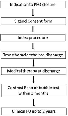 Patent foramen ovale occlusion with the Cocoon PFO Occluder. The PROS-IT collaborative project